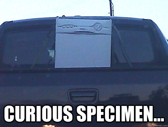 Curious specimen... - Curious specimen...  Misc