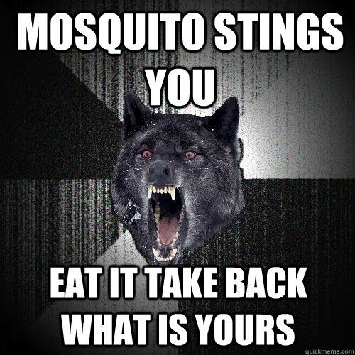 Mosquito Stings You Eat It Take Back What Is Yours  Insanity Wolf