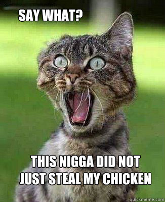 THIS NIGGA DID NOT 
JUST STEAL MY CHICKEN Say what?  