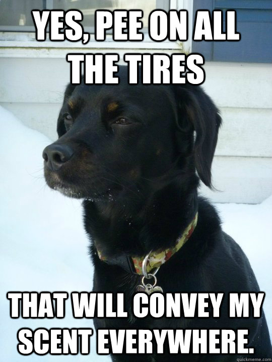 Yes, pee on all the tires that will convey my scent everywhere.   Philosophical Puppy