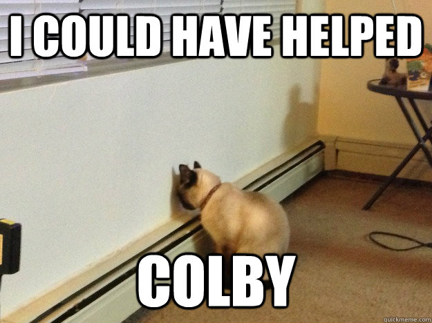 I could have helped Colby  Regretful Cat