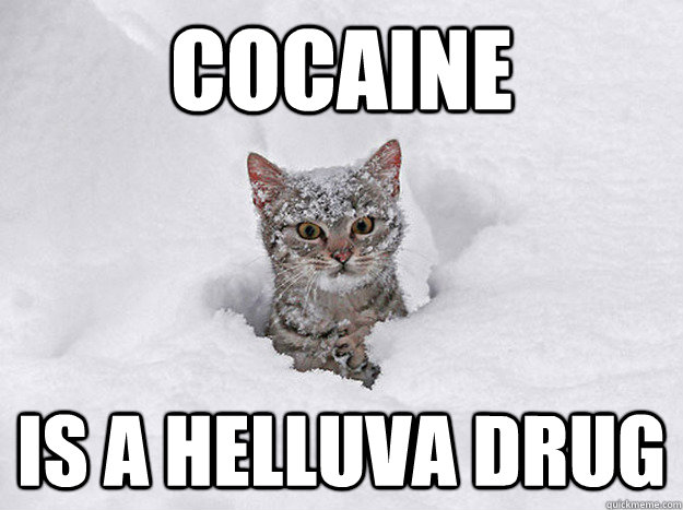 COCAINE IS A HELLUVA DRUG  