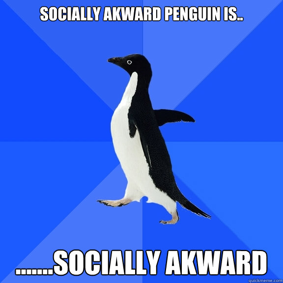 SOCIALLY AKWARD PENGUIN IS.. .......SOCIALLY AKWARD  Socially Awkward Penguin