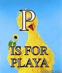 P IS FOR PLAYA Misc