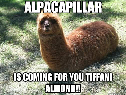 alpacapillar is coming for you tiffani almond!!  Alpacapillar