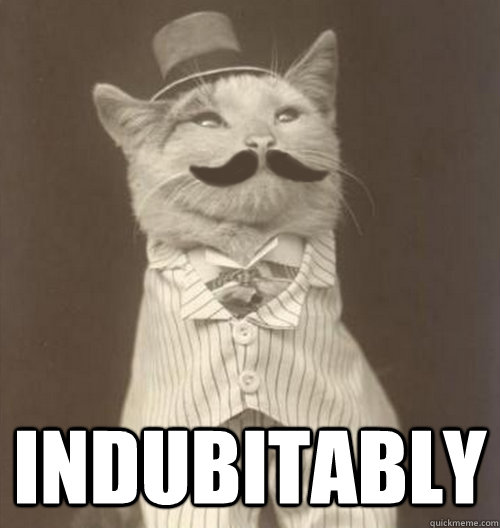  indubitably  Original Business Cat