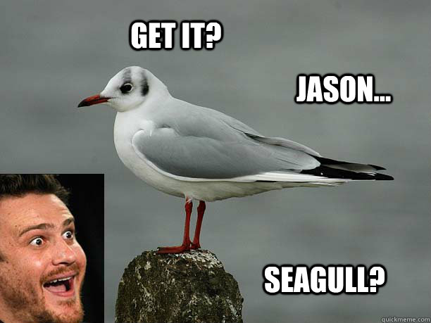 Get it? Jason... Seagull?  