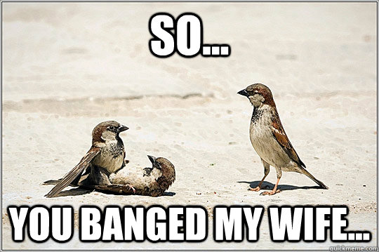 so... you banged my wife...  