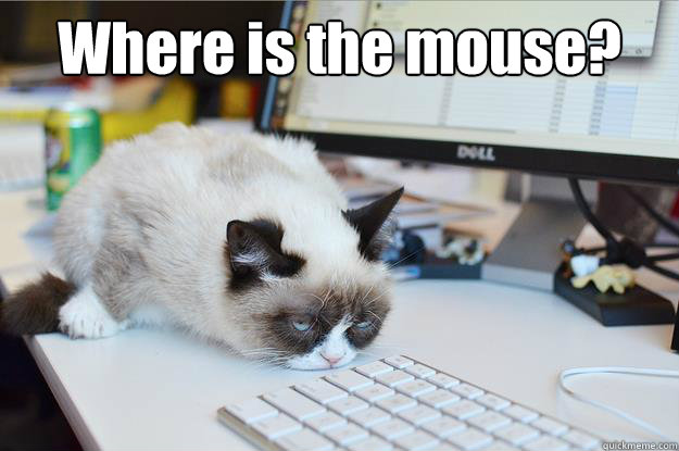Where is the mouse?   Grumpy Cat Mouse