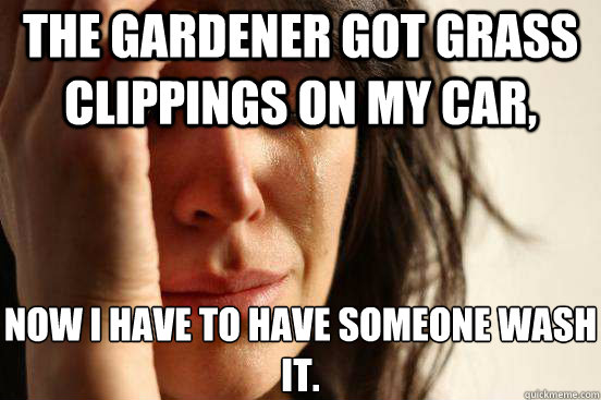The gardener got grass clippings on my car, Now I have to have someone wash it.  First World Problems