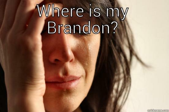 WHERE IS MY BRANDON?  First World Problems