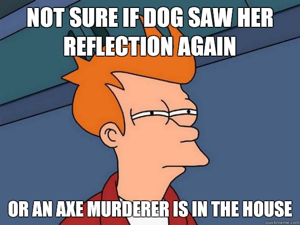 Not sure if dog saw her reflection again  Or an axe murderer is in the house  Futurama Fry