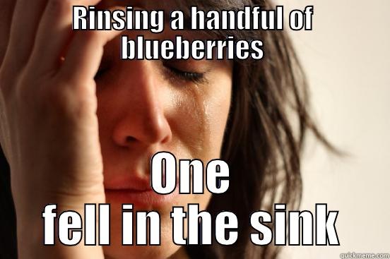 RINSING A HANDFUL OF BLUEBERRIES ONE FELL IN THE SINK First World Problems