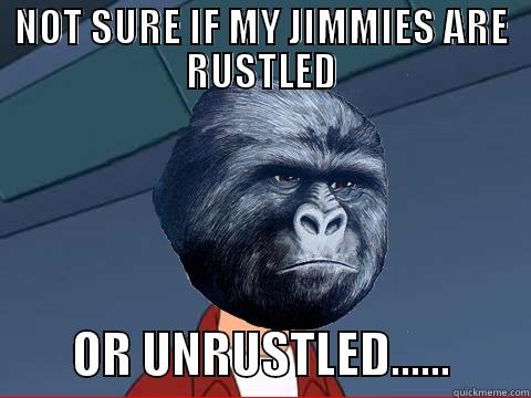 NOT SURE IF MY JIMMIES ARE RUSTLED         OR UNRUSTLED......        Misc