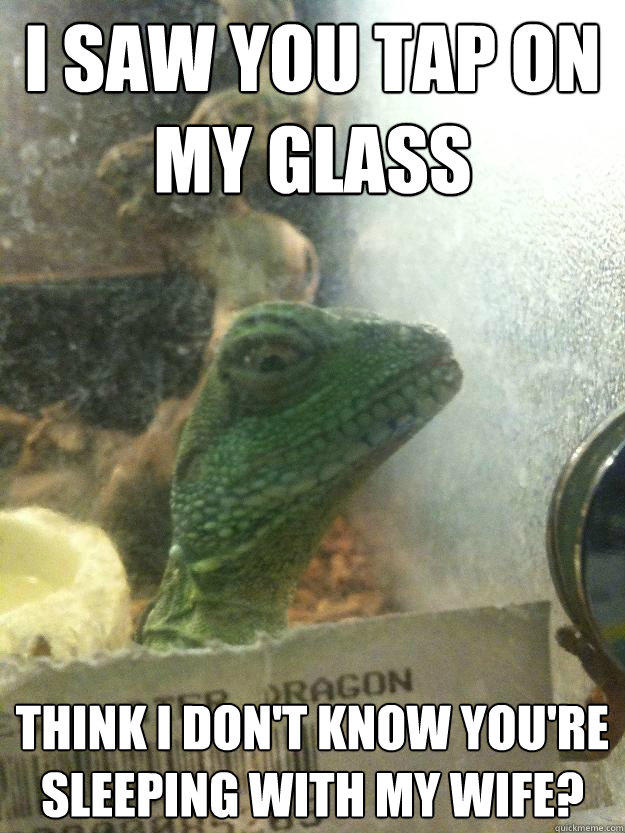 i saw You tap on my glass think i don't know you're sleeping with my wife? - i saw You tap on my glass think i don't know you're sleeping with my wife?  Leery Lizard