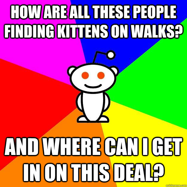 How are all these people finding kittens on walks? And where can I get in on this deal?  Reddit Alien