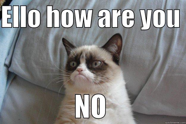 ELLO HOW ARE YOU  NO Grumpy Cat