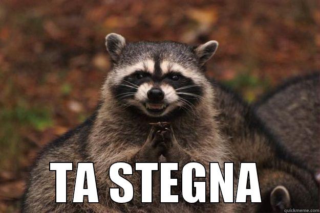  TA STEGNA Evil Plotting Raccoon