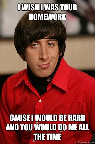 I wish I was your homework Cause I would be hard and you would do me all the time  Howard Wolowitz