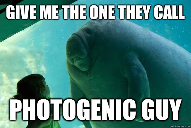 Give me the one they call  Photogenic guy  Overlord Manatee