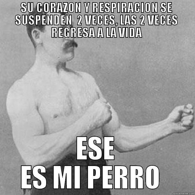 SU CORAZON Y RESPIRACION SE SUSPENDEN  2 VECES, LAS 2 VECES REGRESA A LA VIDA ESE ES MI PERRO   overly manly man