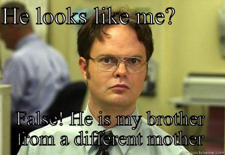 Relatedgjdjwjxjd. Lol - HE LOOKS LIKE ME?         FALSE! HE IS MY BROTHER FROM A DIFFERENT MOTHER Schrute
