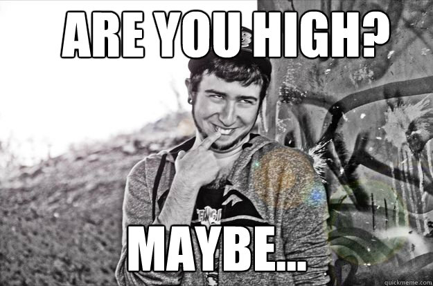 are you high? maybe... - are you high? maybe...  maybe guy