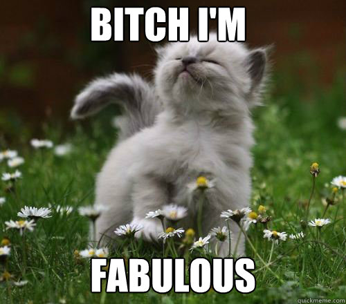 bitch i'm Fabulous - bitch i'm Fabulous  Fabulous Kitten