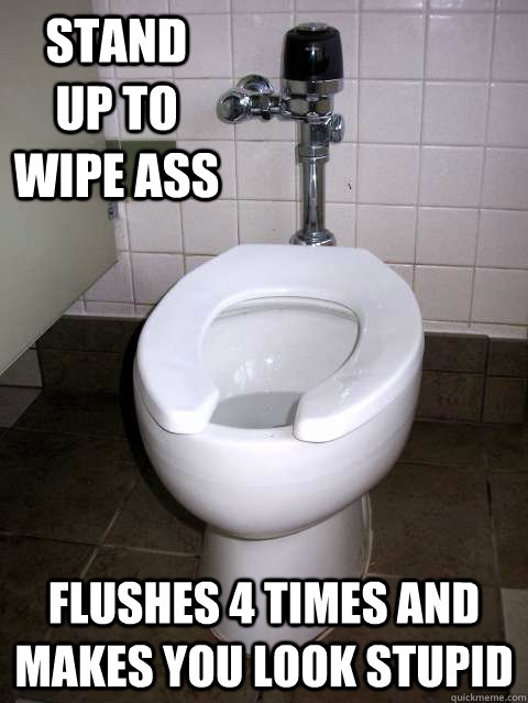 Stand up to wipe ass flushes 4 times and makes you look stupid  