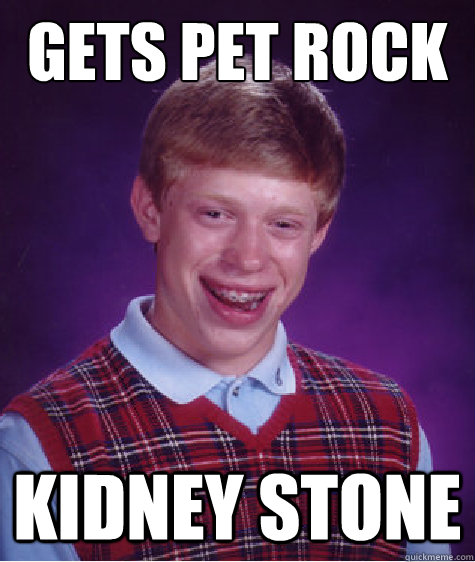 Gets pet rock kidney stone - Gets pet rock kidney stone  Misc