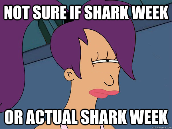 Not sure if shark week or actual shark week  Leela Futurama