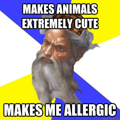 Makes animals extremely cute Makes me allergic  Scumbag God