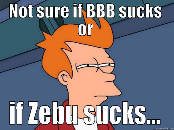 NOT SURE IF BBB SUCKS OR IF ZEBU SUCKS... Futurama Fry