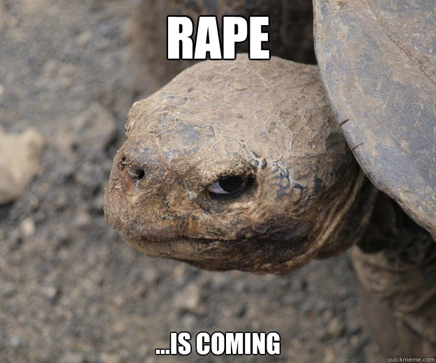 Rape ...Is coming  Insanity Tortoise