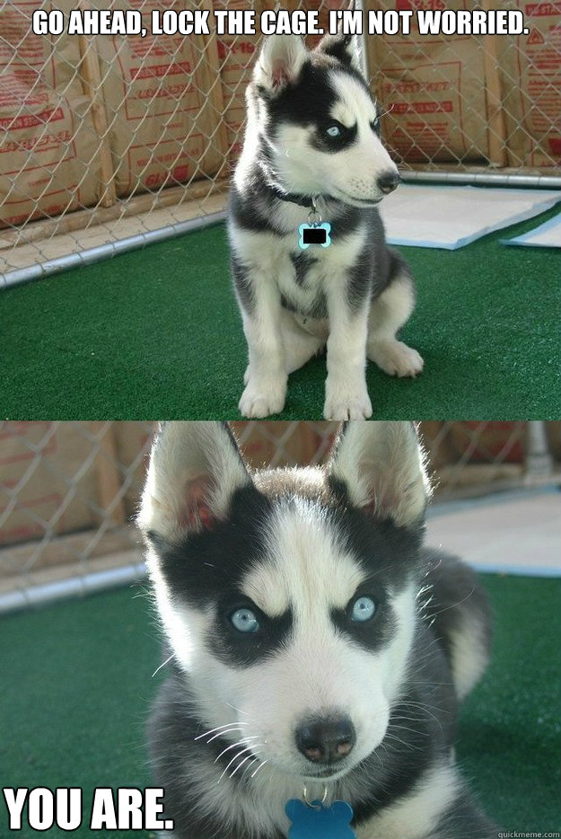 Go ahead, lock the cage. I'm not worried.  You are.   Insanity puppy