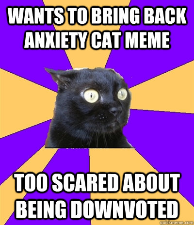 wants to bring back anxiety cat meme too scared about being downvoted  Anxiety Cat