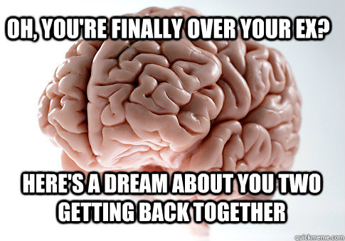 Oh, you're finally over your ex? Here's a dream about you two getting back together   Scumbag Brain