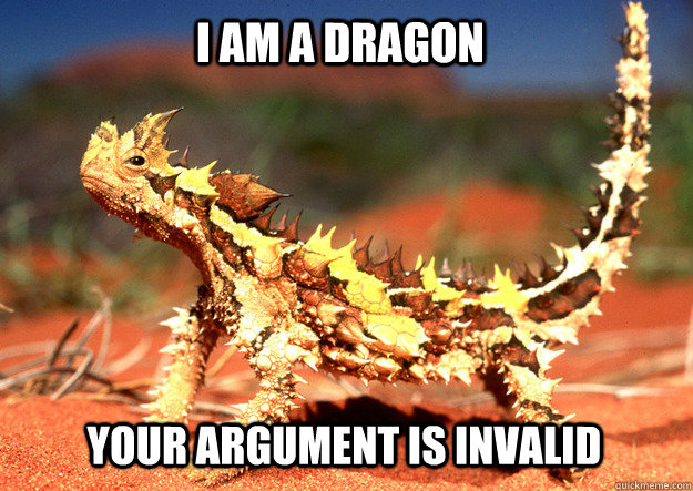 I am a Dragon Your argument is invalid - I am a Dragon Your argument is invalid  provesderstandardrightdragon