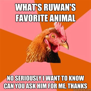 what's ruwan's favorite animal no seriously i want to know can you ask him for me, thanks  Anti-Joke Chicken