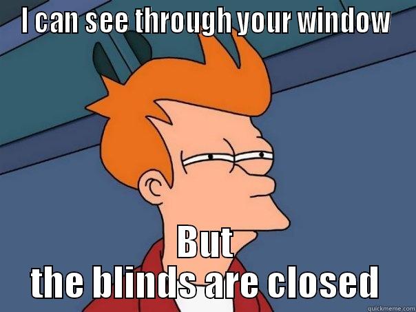 I CAN SEE THROUGH YOUR WINDOW BUT THE BLINDS ARE CLOSED Futurama Fry