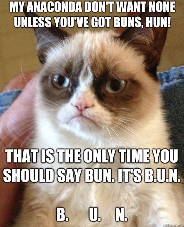 My anaconda don't want none unless you've got BUNS, Hun! That is the only time you should say BUN. It's B.U.N. 
B.       U.     N. - My anaconda don't want none unless you've got BUNS, Hun! That is the only time you should say BUN. It's B.U.N. 
B.       U.     N.  Misc