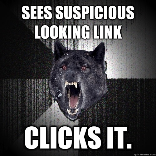 Sees suspicious looking link Clicks it.  Insanity Wolf