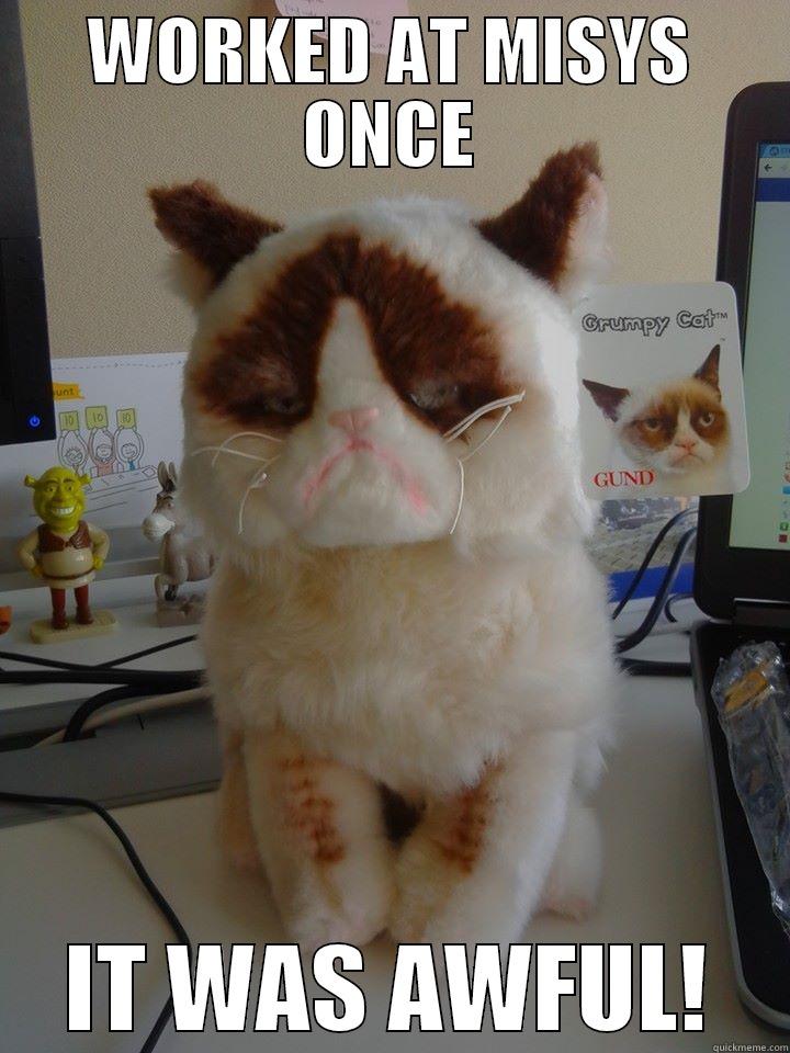 WORKED AT MISYS ONCE IT WAS AWFUL! Misc