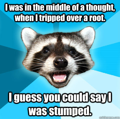 I was in the middle of a thought, when I tripped over a root. I guess you could say I was stumped.  Lame Pun Coon