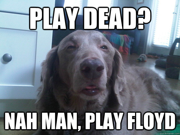 PLAY DEAD? nah man, play floyd - PLAY DEAD? nah man, play floyd  highdog