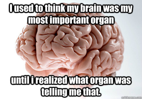 I used to think my brain was my most important organ until i realized what organ was telling me that. - I used to think my brain was my most important organ until i realized what organ was telling me that.  Scumbag Brain