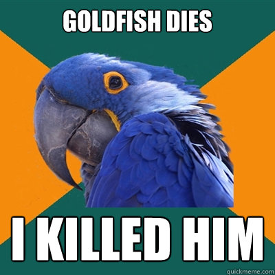 goldfish dies i killed him  Paranoid Parrot