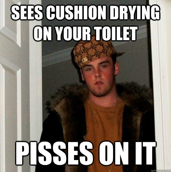 sees cushion drying on your toilet pisses on it  Scumbag Steve