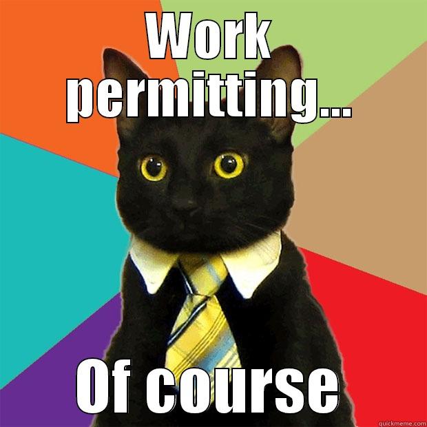 WORK PERMITTING... OF COURSE Business Cat