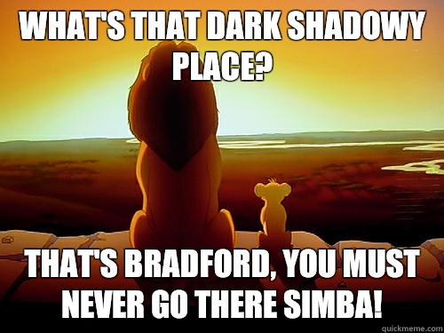 What's that dark shadowy place? That's Bradford, you must never go there Simba! - What's that dark shadowy place? That's Bradford, you must never go there Simba!  Lion king Fabric